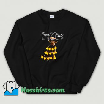 Pumpkin Light Halloween Witch Dog Sweatshirt On Sale