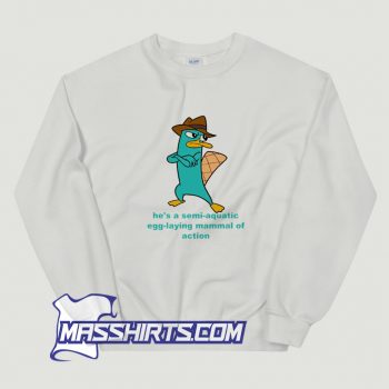 Awesome Disney Phineas And Ferb Cartoon Sweatshirt